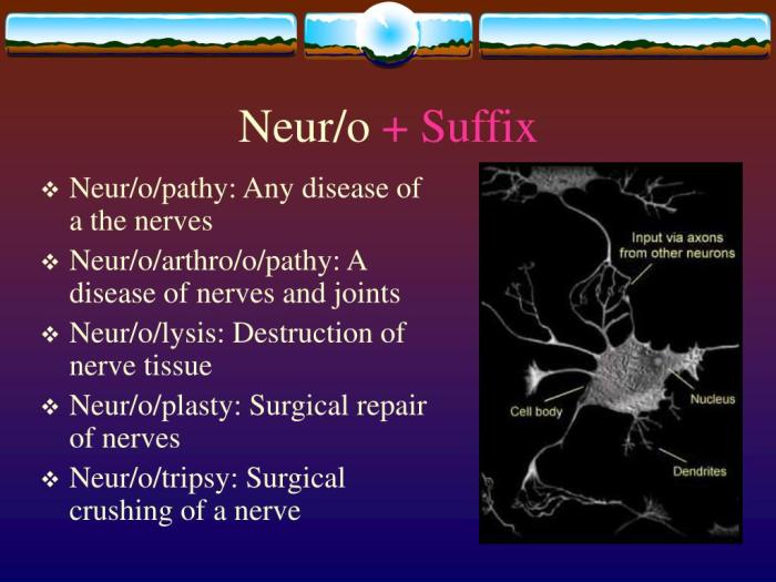 Suffix with neur or narc