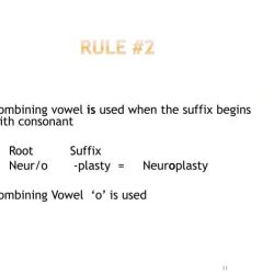 Terminology introduction medical vowel combining ppt powerpoint presentation suffix root begins neur used when