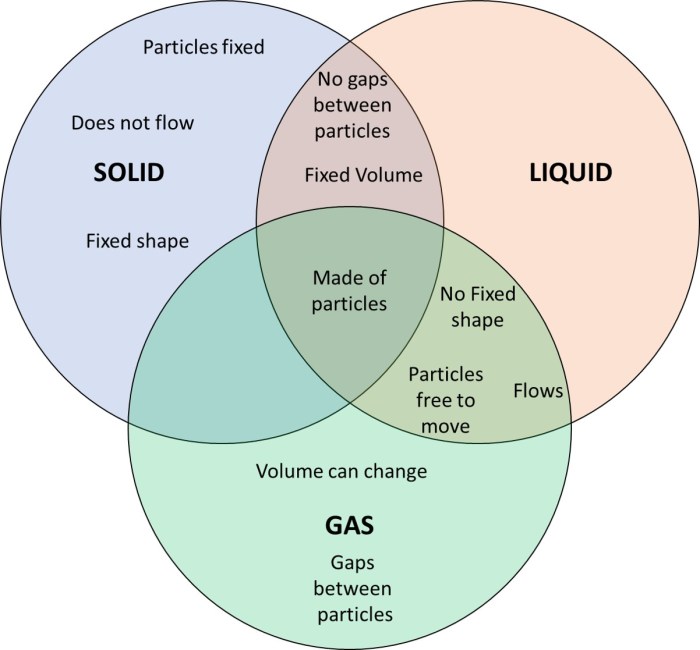 Venn gases liquids solids docx