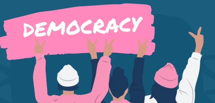 Elite democracy pros and cons