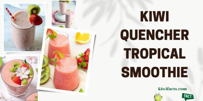 How to make a kiwi quencher from tropical smoothie