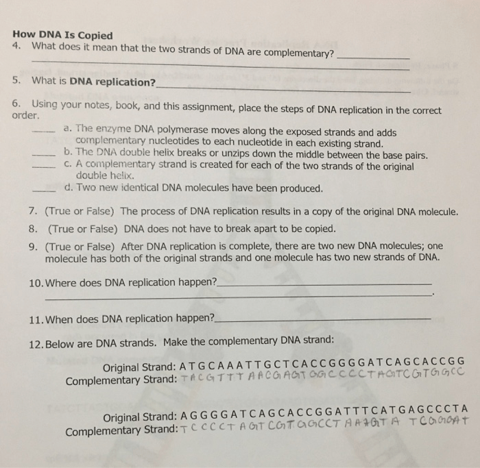 Dna replication practice worksheet answer key