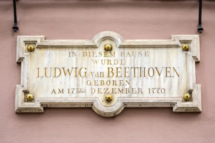 Select all the statements about beethoven's childhood and youth.