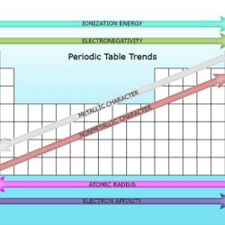 Basis periodic trends determine ionization energy element first possible pair solved higher answer each if blanks sentences column appropriate elements